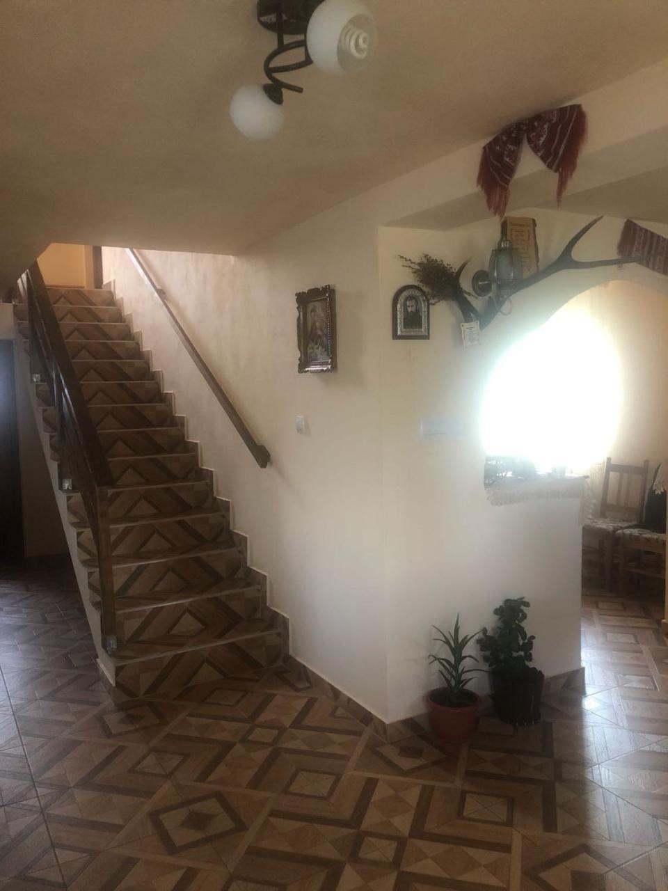 Cabana Georgiana Maria Ghetari Esterno foto